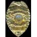 HUNTINGTON BEACH, CA POLICE DEPARTMENT BADGE PIN